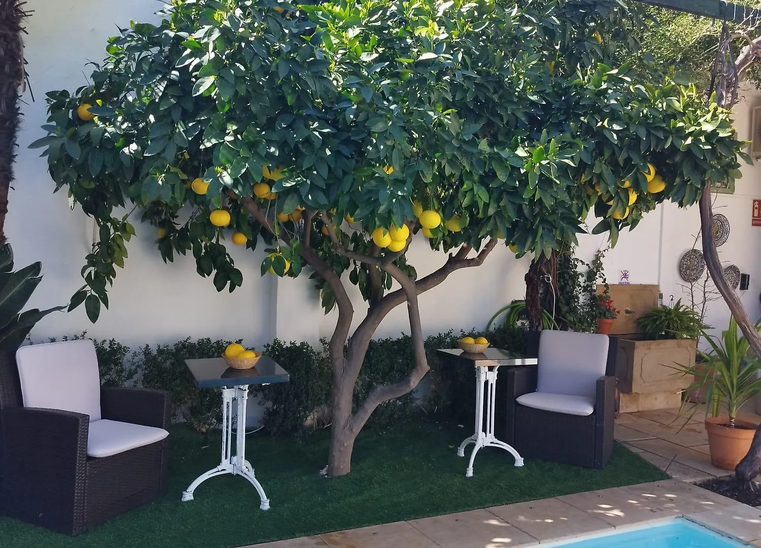 Suite Comares Granada Lodge
