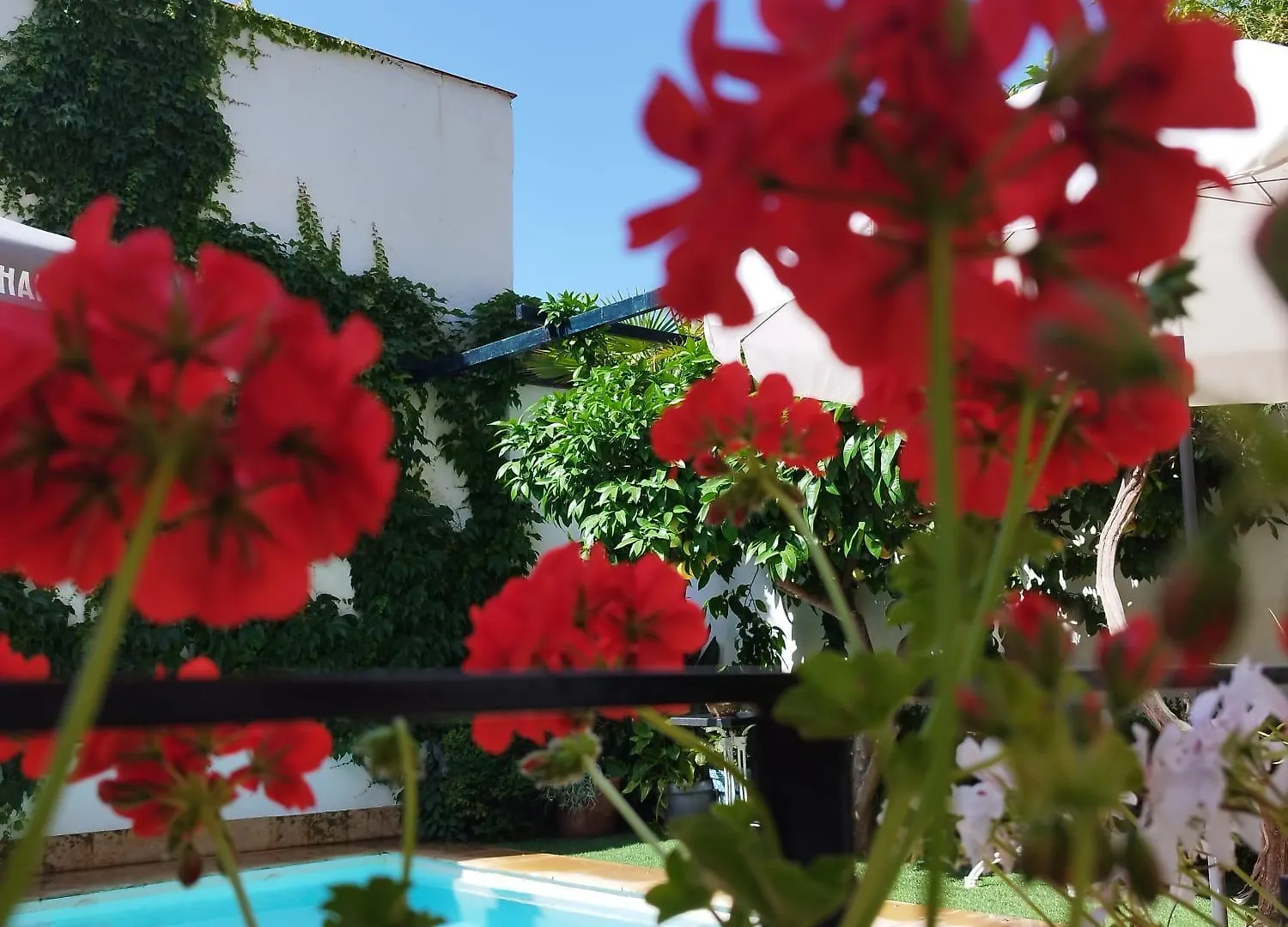 Suite Comares Granada